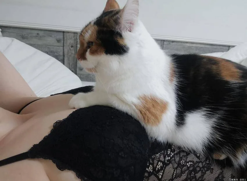 LaskaMáša